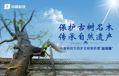 古樹防雷接地系統